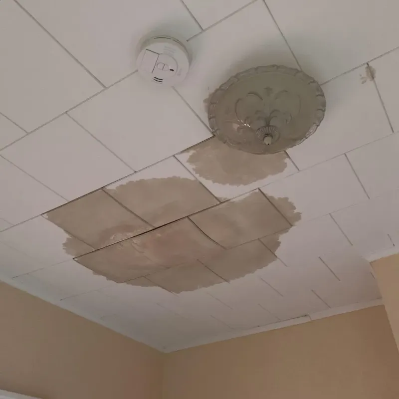 Ceiling Water Damage Repair in Midway City, CA