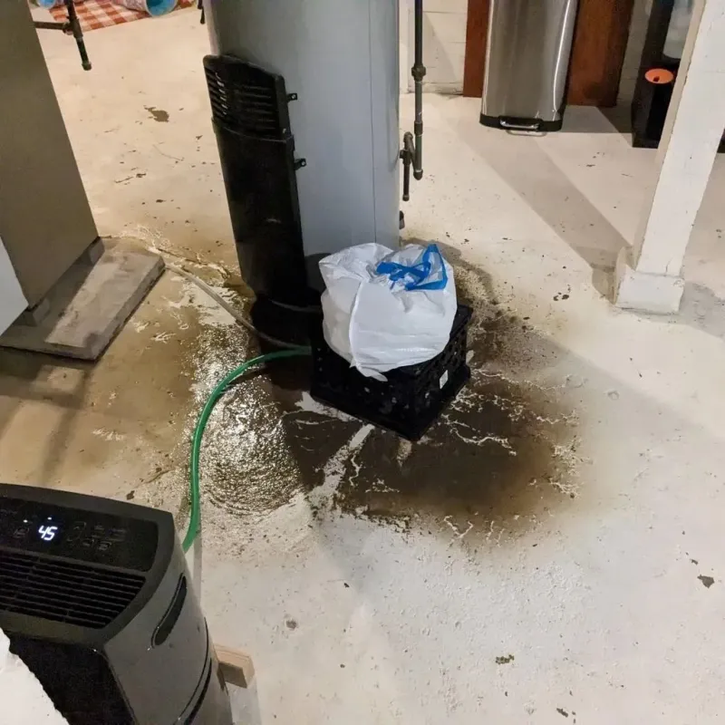 Sewage Backup Cleanup Service in Midway City, CA